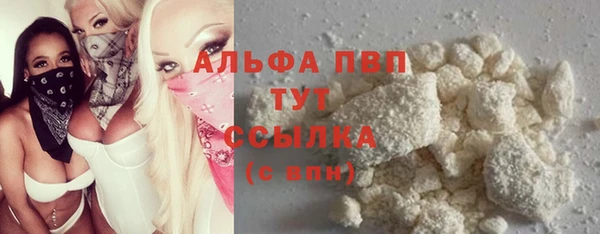 сатива Михайловка