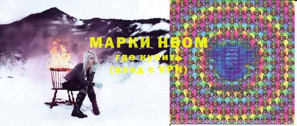 сатива Михайловка