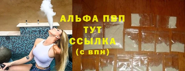 сатива Михайловка