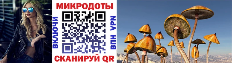Галлюциногенные грибы ЛСД  Шумиха 
